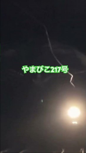 🟨【YB42】トンネルから🚅【やまびこ217号】駅への到着シーン🟨