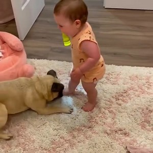 310K views · 10K reactions | Love watching dog and baby together   Join our group :We Love Babies. Thank you so much ❤ | Ocean Energy | Facebook