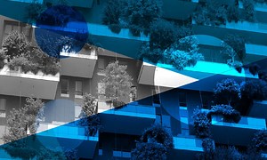 Sustainability Executive Program | IE Business School