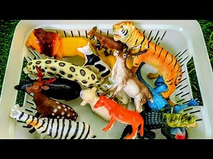 Learn Farm And Zoo Animals Together – Educational Video for Toddlers