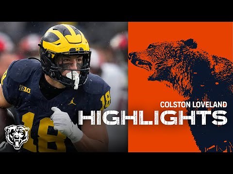 Colston Loveland Highlights | Chicago Bears