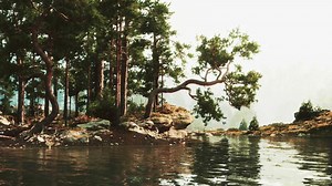 Tranquil waters reflect lush trees in a serene natural landscape