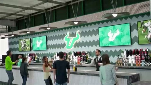 Video of new on-campus stadium at USF