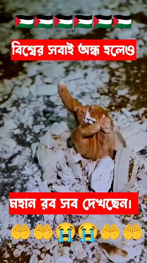 4.8M views · 10K reactions | 爐爐 . . . . . . . . . The...