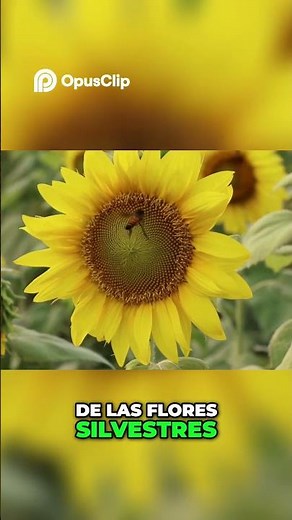 El Papel Vital de las Abejas en Nuestro Ecosistema
