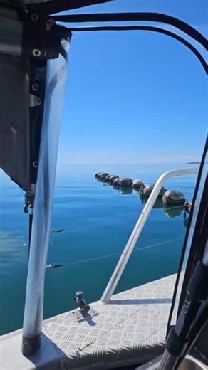 16 reactions | It’s been some absolute stunners of days out on the water!  | Reel Tuff Sport Fishing | Facebook