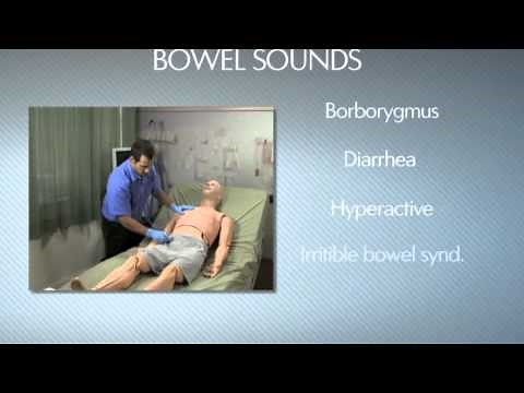 HAL® S3201 - Part 9 - Bowel sounds