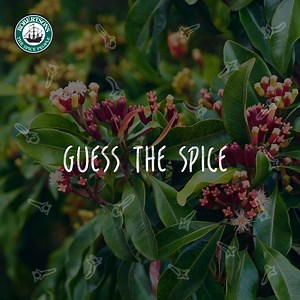 200K views · 1.9K reactions | Add ONE letter of the alphabet to a word meaning affection, and you’ve guessed the name of this warm, sweet, aromatic spice. We source it in Indonesia and Madagascar, and it’s a crucial ingredient of our legendary Barbecue, Steak & Chops and Chicken spices. #SpiceDiscovery | Robertsons Herbs & Spices | Facebook