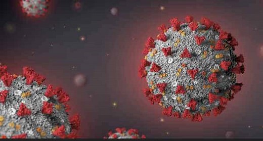 Pfizer mRNA Spike Protein Is Part of Your Cell Within Hours - NOT What the CDC Proclaimed