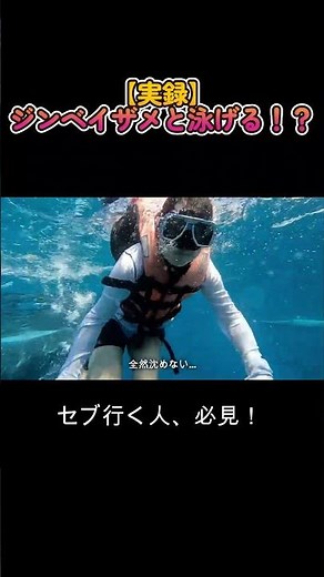 [Real-life account] How many whale sharks can you see while snorkeling in Oslob? #Oslob #whalesha...