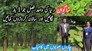 64K views · 1.1K reactions | Farming Tips on Reels | Facebook