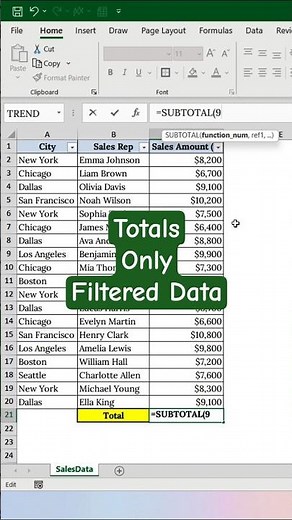 Excel Totals Wrong After Filter? Fix It Instantly with SUBTOTAL!