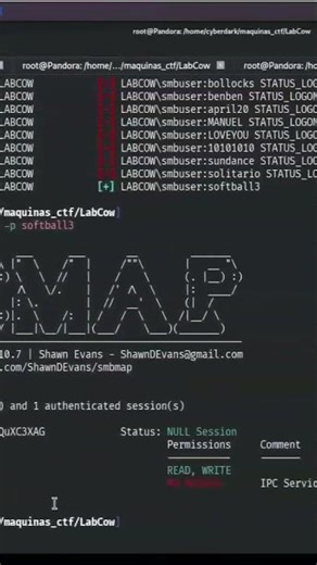 SMBMap con creds: READ/WRITE #SMBMap #SMBWrite #LabCow #ReverseShell #LinuxSecurity