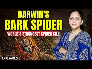 Darwin’s Bark Spider Explained | The Spider that Spins the Strongest Silk | UPSC Current Affairs