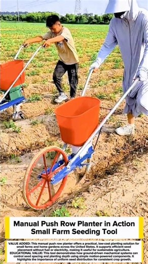 Manual Push Row Planter in Action | Small Farm Seeding Tool #farming #tools