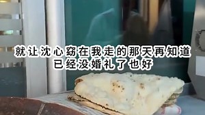 恋爱第五年,未婚妻在订婚这天丢下我去陪白月光放烟花...