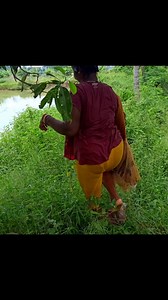 5.6M views · 50K reactions | Amazing Village women Net Fishing #Villagewomenfishing #fishing #women | Village Women fishing Channel | Facebook