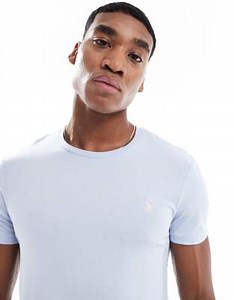 Polo Ralph Lauren icon logo t-shirt custom fit in light blue | ASOS