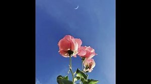 PEACE Lyrics - ERIC GODLOW | eLyrics.net