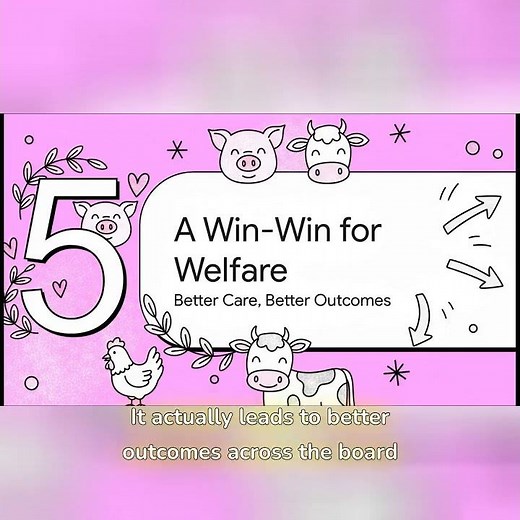 Boost Your Farm's Productivity with Animal Welfare