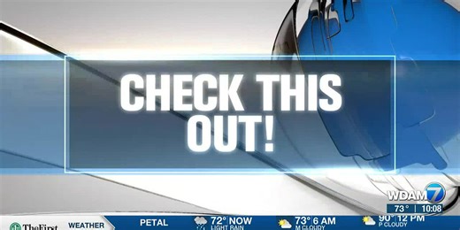 Forrest County deputies bring home Clyde the Camel safely