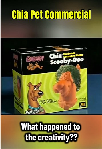 I had to go into the vault for this one. Chia pets commercial. Do you remember this? Did you ever have one? #90skid #80sbaby #nostalgia #oldcommercials #retrotoys
