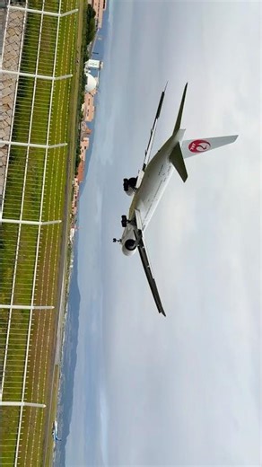 超巨大！大迫力！ B777-300ER伊丹空港へ飛来 デカすぎて撮影が難しい。 #伊丹空港 #千里川土手 #伊丹空港千里川土手 #飛行機 #jal #飛行機動画