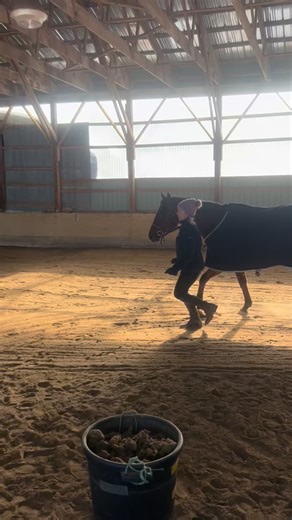 It’s too cold to work the horses in the Great White North right now ❄️ Ilona and Ricky chose to work on their natural horsemanship with some join-up instead! ❄️ #torontoequestriannorth #kingcity #kingcityhorsebackriding #kingcityridinglessons | Toronto Equestrian North