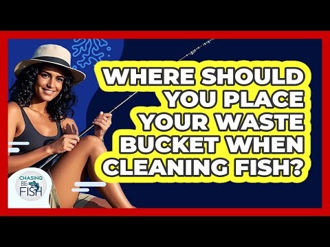 Where Should You Place Your Waste Bucket When Cleaning Fish?