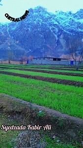 22K views · 890 reactions | CHITRAL Chitral News چترال نیوز | Chitral News چترال نیوز | Facebook
