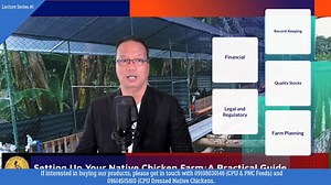 Episode 1: Setting up your native chicken farm | Philippine Native Chicken