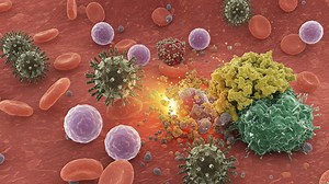 Microscopic Interaction of Immune Cells and Pathogens: A View into the Complex Battle Between Immune Defenses and Invading Microorganisms in Bloodstream | Premium Stock Video Footage