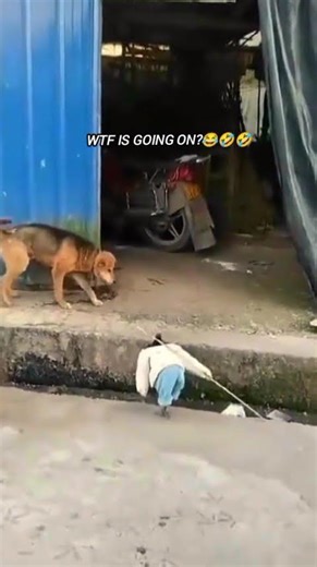 😂you'll laugh at this #funnyshorts pt4