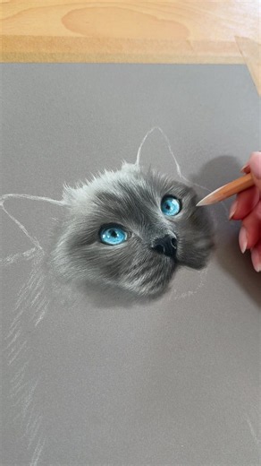 My very first pet portrait back in 2016 was a ragdoll (my mums cat) so its wonderful to have another ragdoll on the drawing board 😍 #pastelpainting #petportrait #catdrawing #ragdoll #catlover