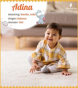 Adina Name Meaning, Origin & History: Complete Guide