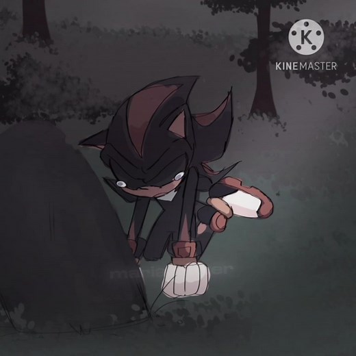 Shadow the Hedgehog Sad Edit - Why Are You Crying?