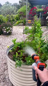 21 reactions | Apply our Seasol seaweed concentrate fortnightly to reap the benefits of a complete garden health treatment. Your plants will thank you for it.  @lisaandlisa We love seeing our community in their element. Tag us in your gardening ventures. | Seasol | Facebook