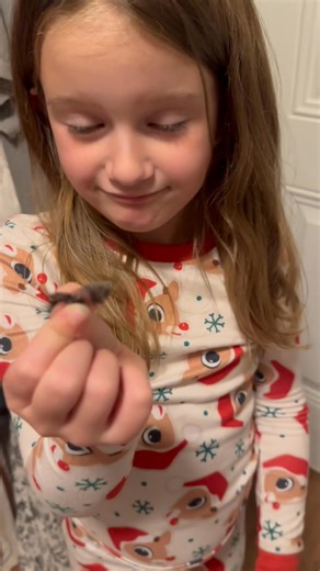 Janna Kate tickles me so good sometimes! FYI- these things pop up ALL OVER our house and I ALWAYS think it’s a spider at first glance! Rilee Long 😆🤦🏻‍♀️ #teenageproblems #sisters | Amanda Paige Spruill