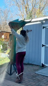 10K views · 157 reactions | I woke up and my tail chose violence 藍 Some of my story peeps said I should post this as a reel so here we are. Nothing like a mermaid tail slap to kickstart the day! #mermaidtail #professionalmermaid #mermaid #behindthescenes #funny #instagramvsreality | Mermaid Elle | Facebook