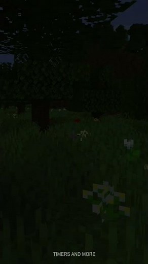 10 Second Minecraft Inspired Countdown Timer