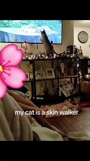 My Cat Is a Skin Walker: Unique Feline Behavior