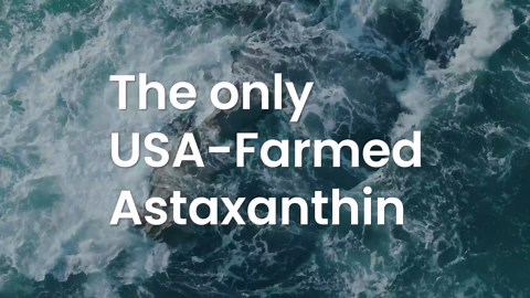 Fairy Party Decorations,Fairy First Birthday Decorations,Fairy Party Games,Birthday Games for Kids Party,Fun for Adults & Kids Game,What's Your Fairy Name Game