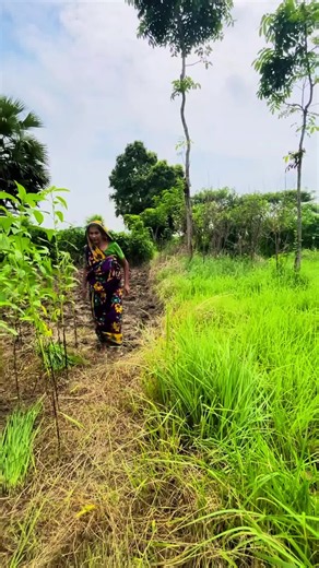 #WeedBroom #HandmadeCraft #TraditionalSkills #RuralWisdom #foryoupage | handmade craft