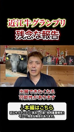 The main story is from "Omi Beef Grand Prix! The Road to the Top! Carcass Weight Report! And, Dis...