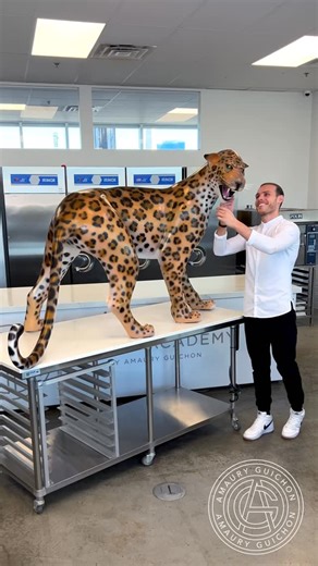 Amaury Guichon on Instagram: "Giant Chocolate Leopard! 🐆 One of my biggest sculptures! #amauryguichon #chocolate #leopard"