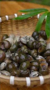 Spring Snails: Freshly Gathered for a Bowl of Snail & Clam Vermicelli