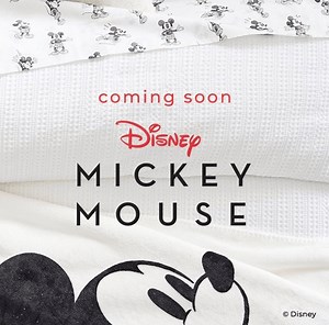 New Vintage Mickey Mouse Home Collection Coming to Pottery Barn | Chip and Company