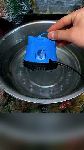 🌊 Mențineți rezervorul sau fântâna impecabilă cu circulație puternică a apei! 🔇 Funcționare silențioasă pentru un spațiu liniștit. ♻️ Design eficient energetic, auto-curățare și ecologic. Comandați acum👇 | Soldius