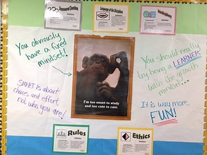 Identifying and Changing Mindsets