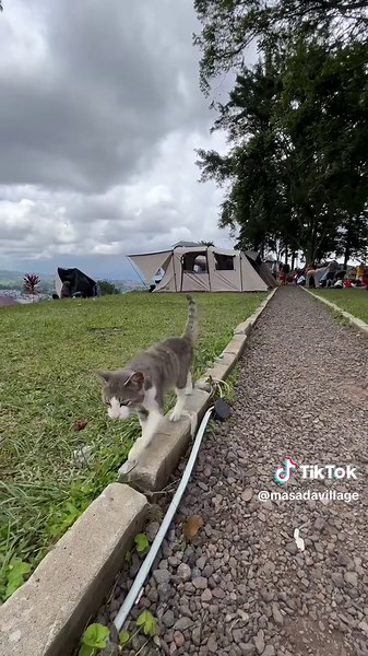 Liburan Menarik di Masada Village Resort Bogor